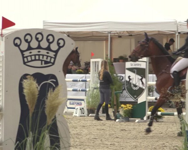 Reitturnier Solingen 2023