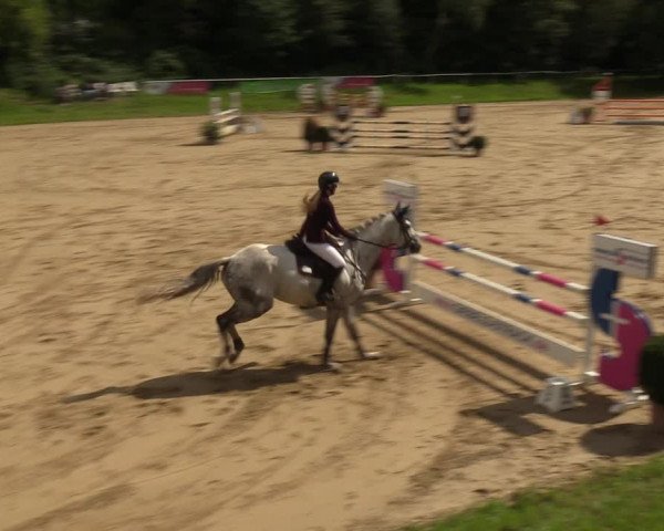 Reitturnier Viersen-Dülken 2023