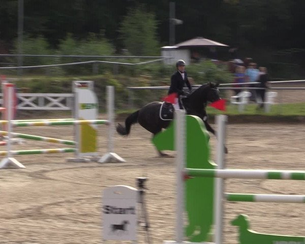 Reitturnier Lgl.-Oberhain, B95 2021