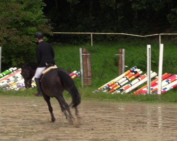 Reitturnier Viersen-Dülken 2023
