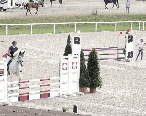Pferdesporttage Bülach 2021