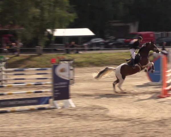 Reitturnier Lgl.-Oberhain, B95 2021
