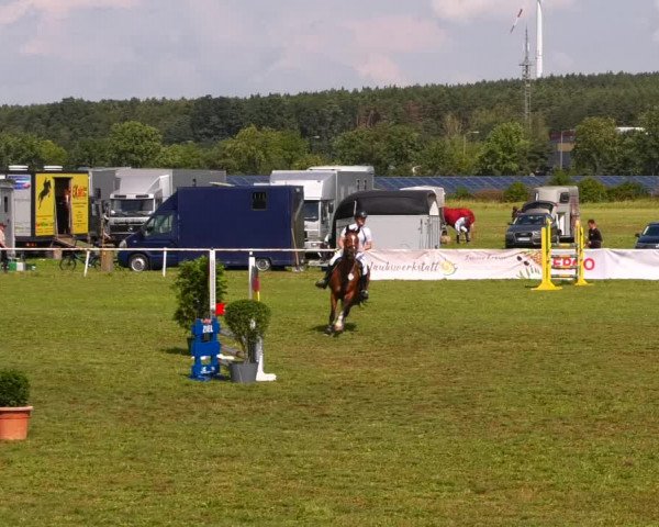 Reitturnier Reckahn 2023