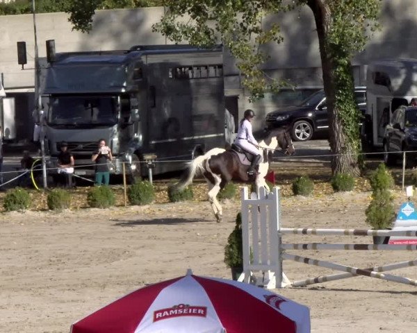 Reitturnier Basel Schänzli 2021