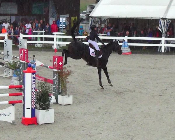 Reitturnier Hüntwangen 2023