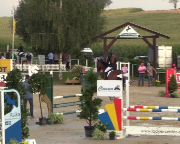 Reitturnier Duderstadt 2023