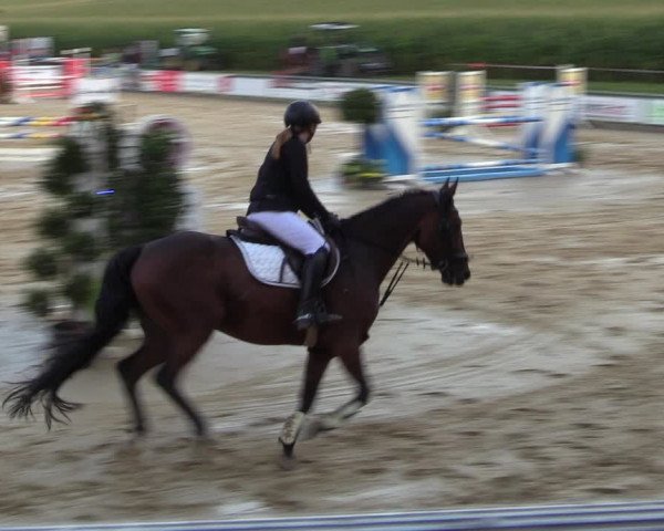 Reitturnier Duderstadt 2023