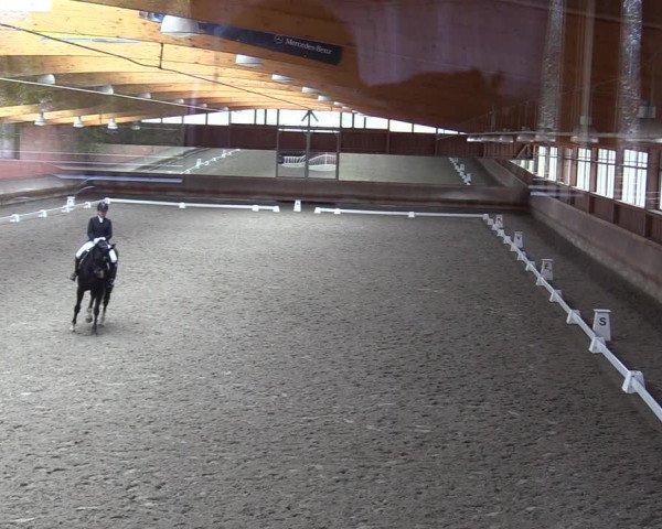 Dressurturnier mit Hallenchampionat Tremsdorf, Eichenhof 2021