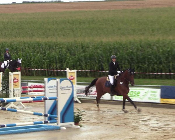 Reitturnier Duderstadt 2023