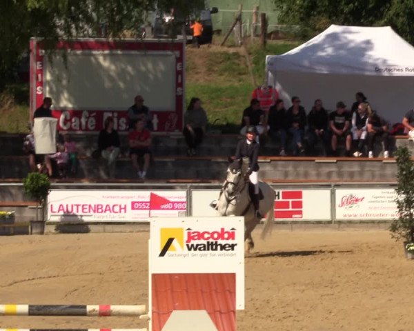 Reitturnier Duderstadt 2023