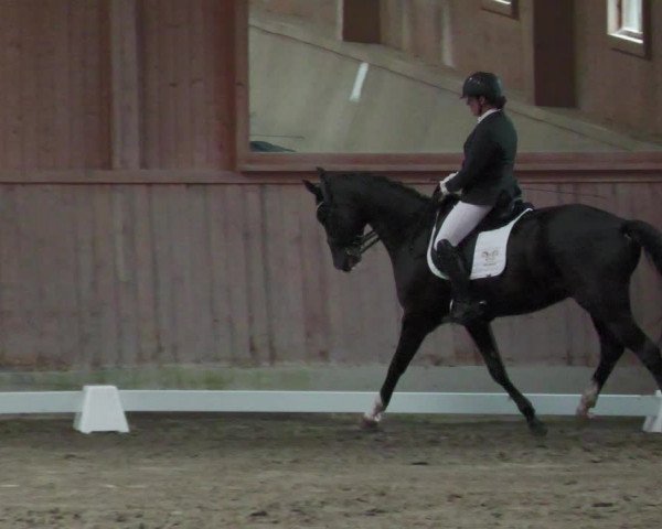 Reitturnier Zillhofen/Obb. 2023