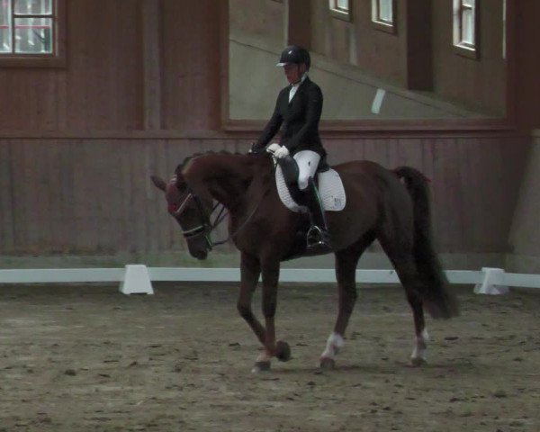 Reitturnier Zillhofen/Obb. 2023