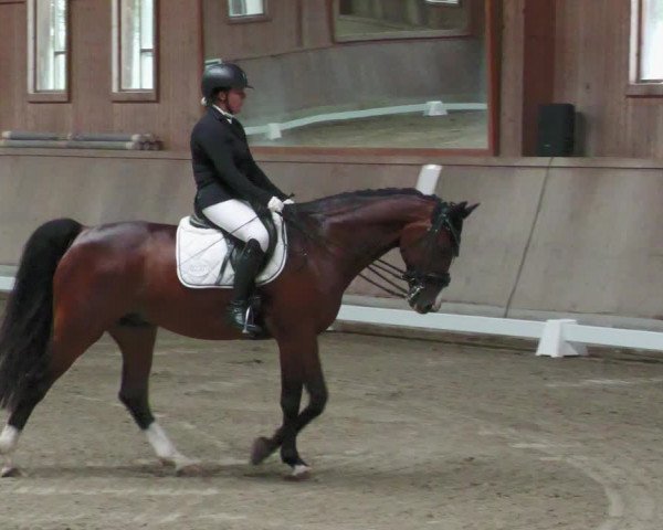 Reitturnier Zillhofen/Obb. 2023