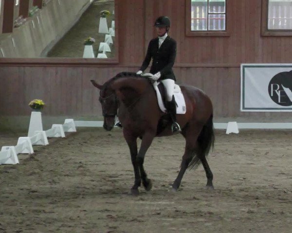 Reitturnier Zillhofen/Obb. 2023