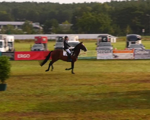 Reitturnier Reckahn 2023