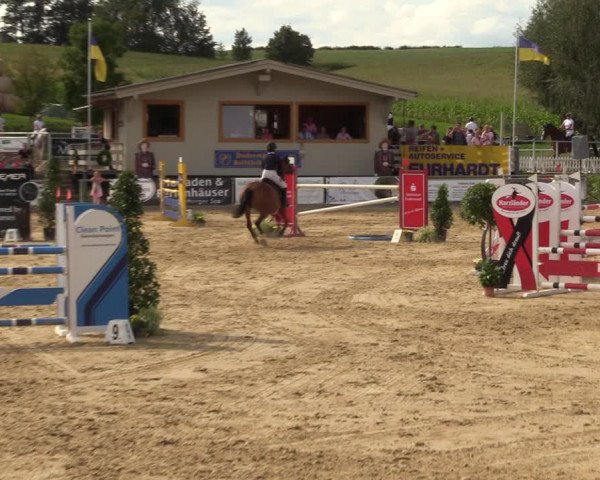 Reitturnier Duderstadt 2023