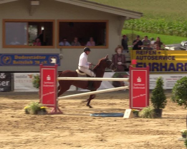 Reitturnier Duderstadt 2023