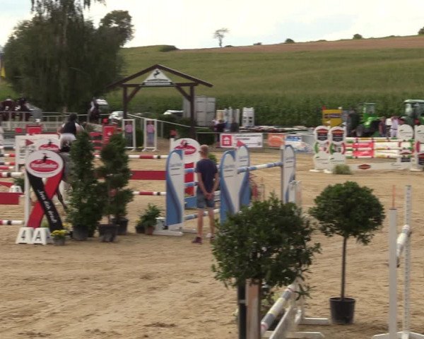 Reitturnier Duderstadt 2023