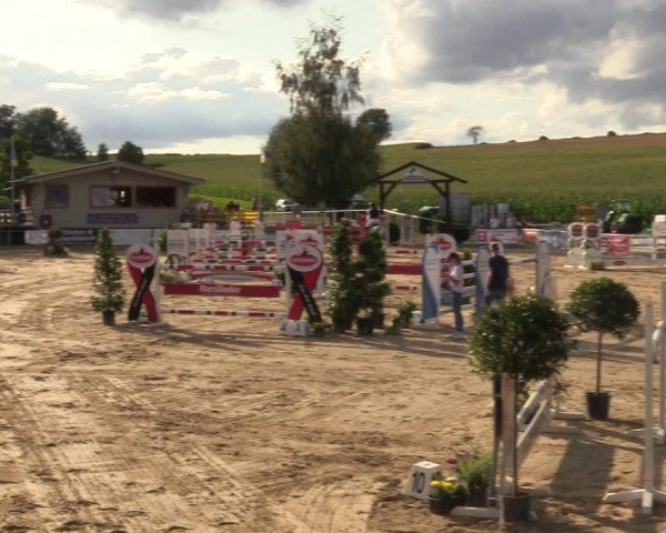 Reitturnier Duderstadt 2023