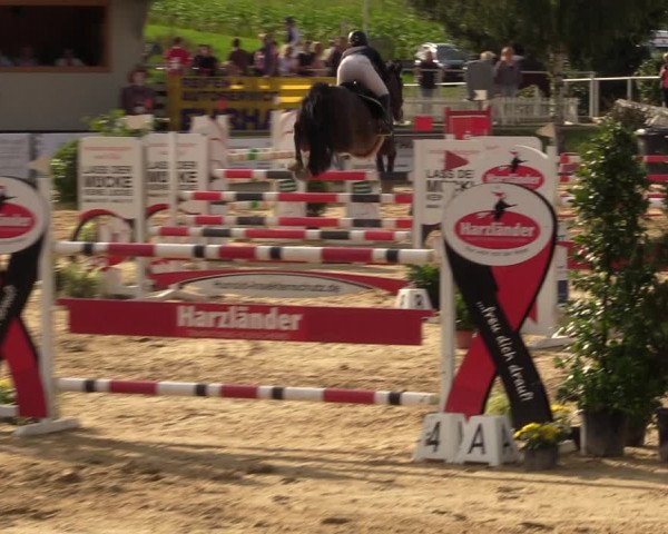 Reitturnier Duderstadt 2023