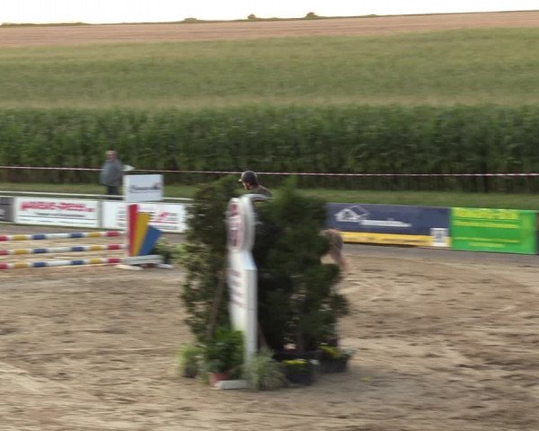 Reitturnier Duderstadt 2023