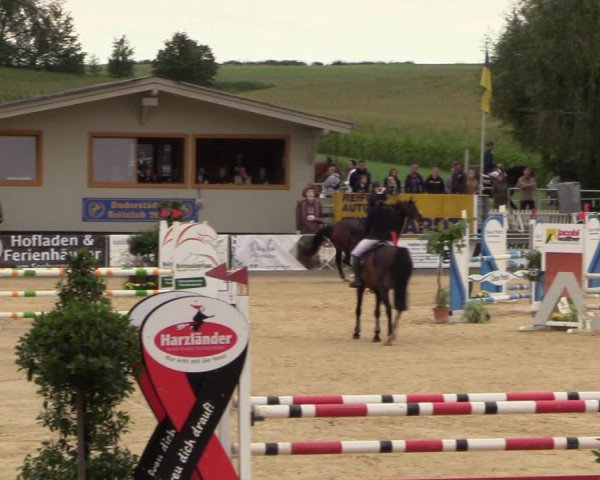 Reitturnier Duderstadt 2023