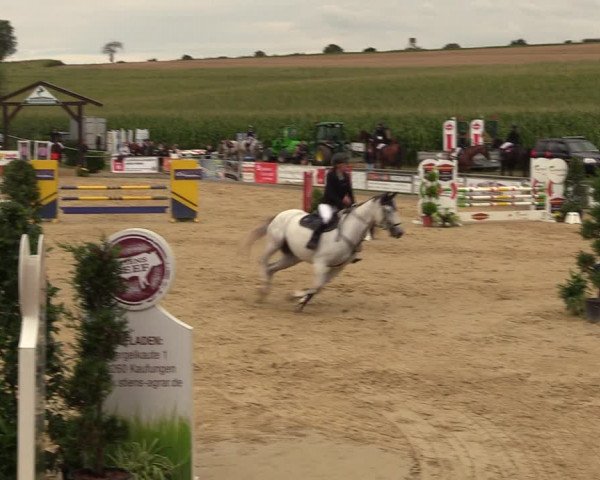 Reitturnier Duderstadt 2023
