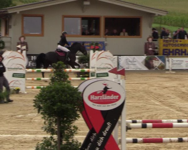 Reitturnier Duderstadt 2023