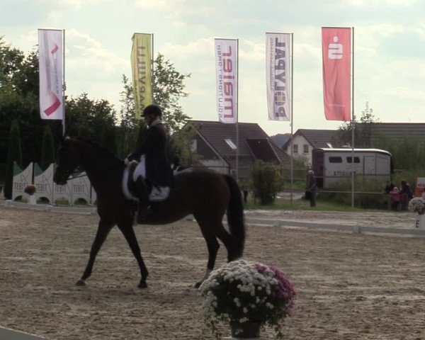 Reitturnier Meinerzhagen 2021