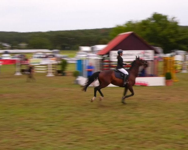 Reitturnier Reckahn 2023