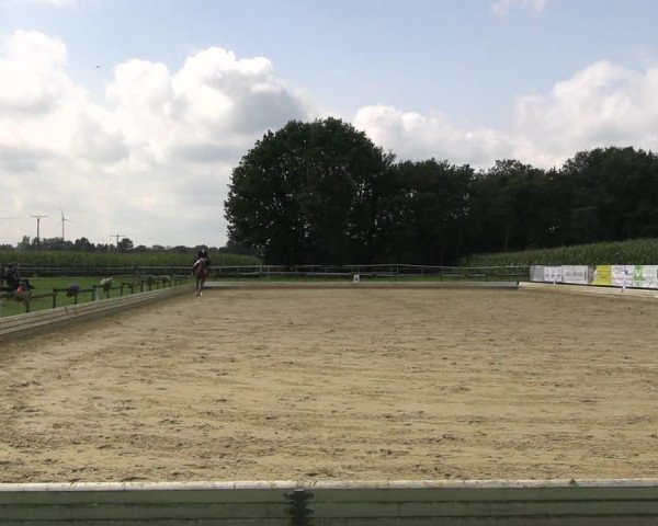Reitturnier Ostbevern 2023