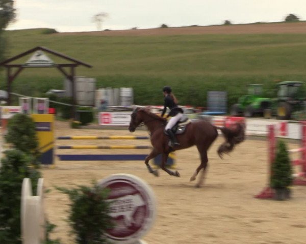 Reitturnier Duderstadt 2023