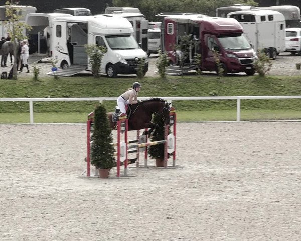 Pferdesporttage Bülach 2021