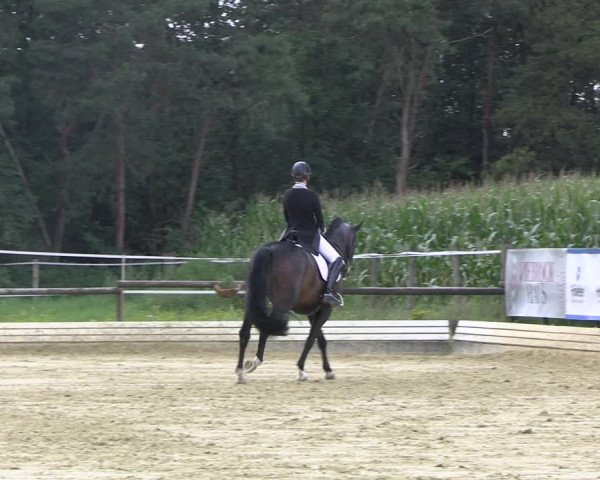 Reitturnier Ostbevern 2023