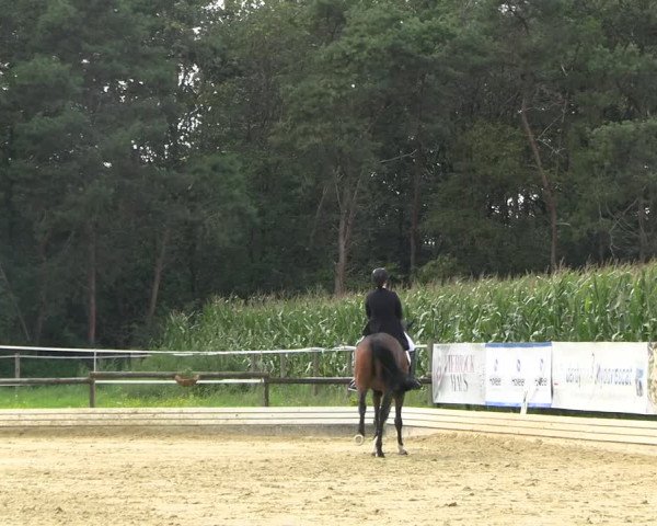 Reitturnier Ostbevern 2023