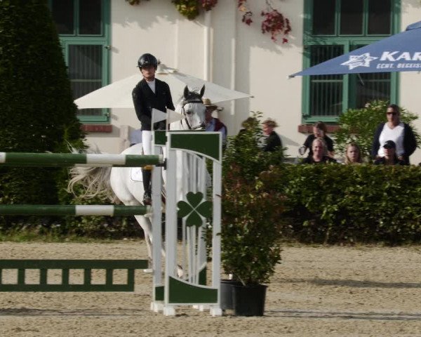 Reitturnier St.Wendel, Gestüt Welvert 2023