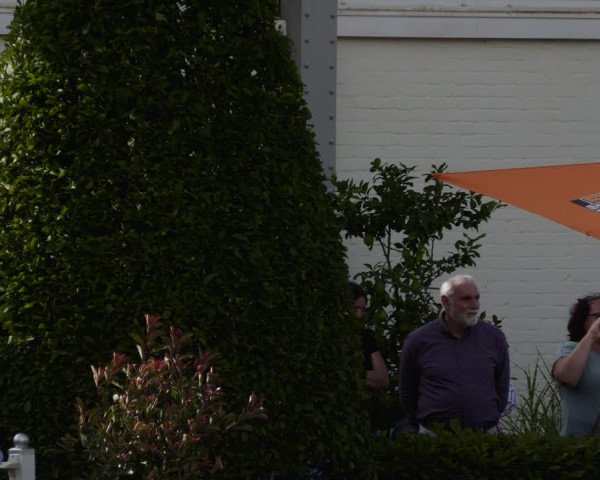 Reitturnier St.Wendel, Gestüt Welvert 2023