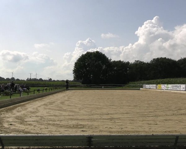 Reitturnier Ostbevern 2023