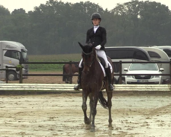 Reitturnier Ostbevern 2023