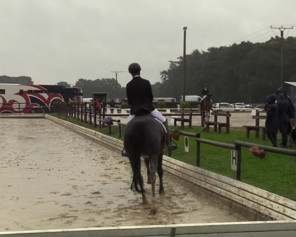 Reitturnier Ostbevern 2023
