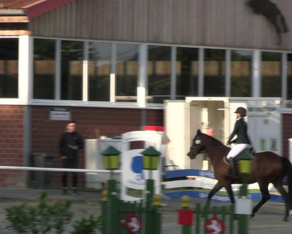 Reitturnier Werne 2023