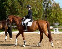 broodmare Vita Dance II (Hanoverian, 2019, from Vitalis)