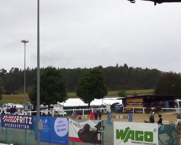 Reitturnier Hüntwangen 2023