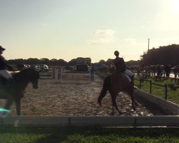 Reitturnier Ostbevern 2023