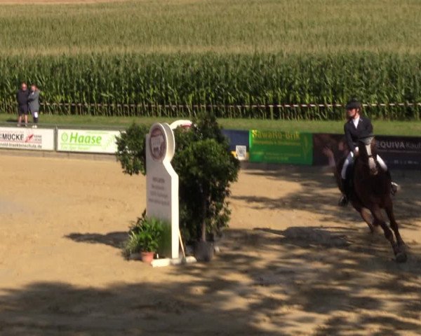 Reitturnier Duderstadt 2023