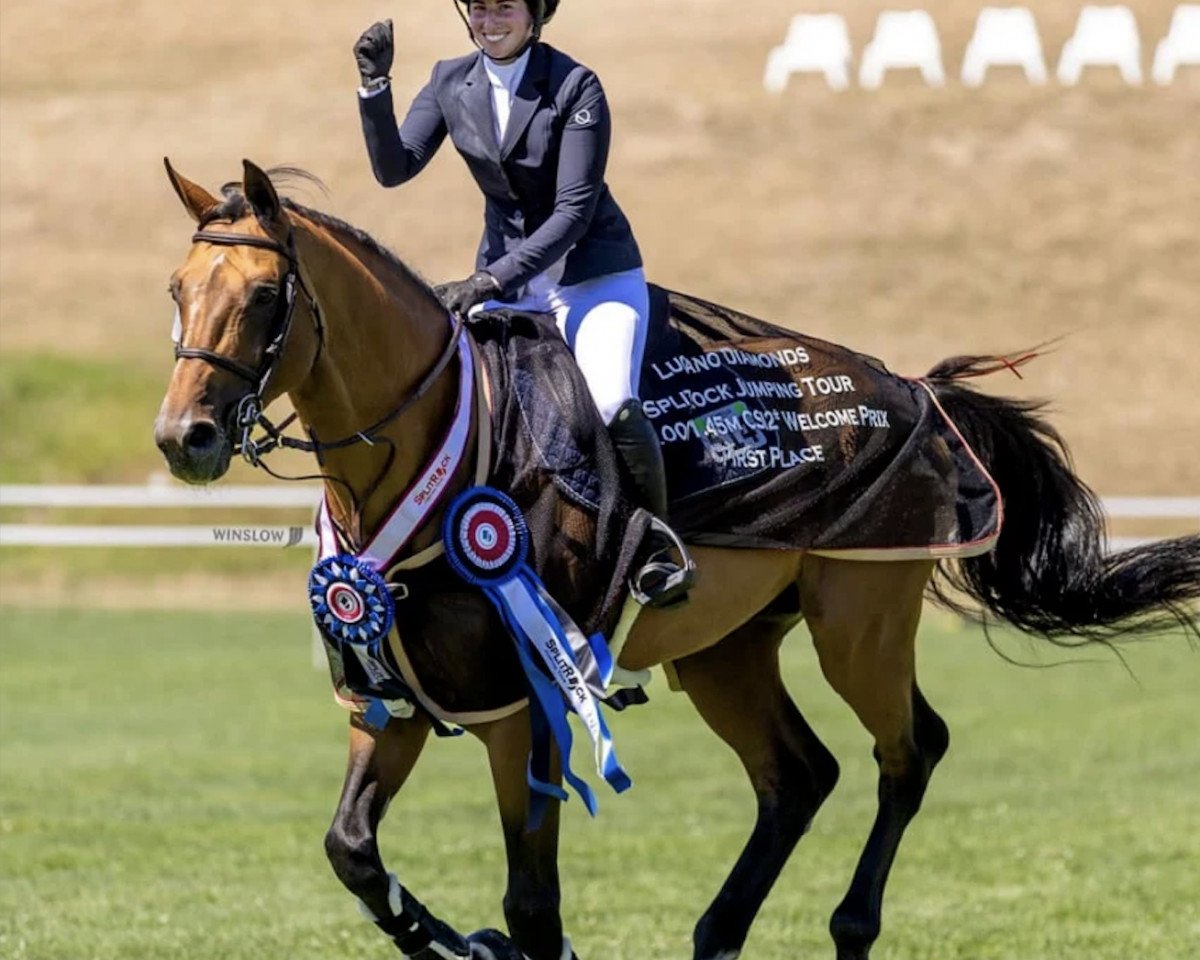 Deckhengst Lavallino Ter Klomp (Belgisches Warmblut, 2011, von Clearway)