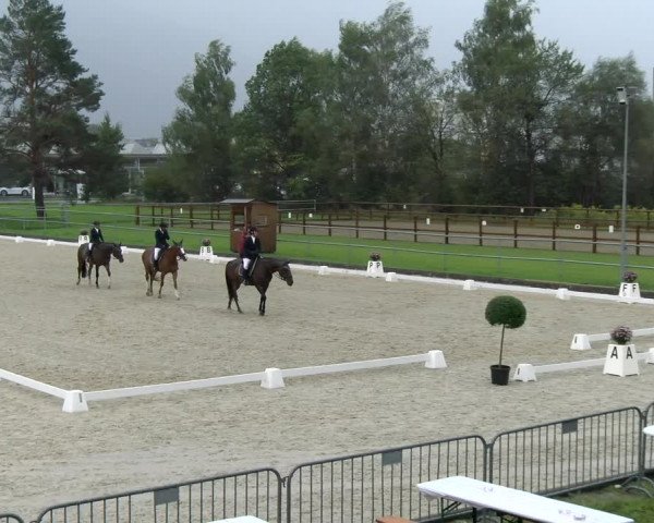 Reitturnier Werdenberg 2023