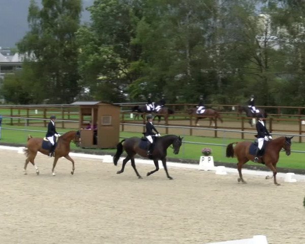 Reitturnier Werdenberg 2023