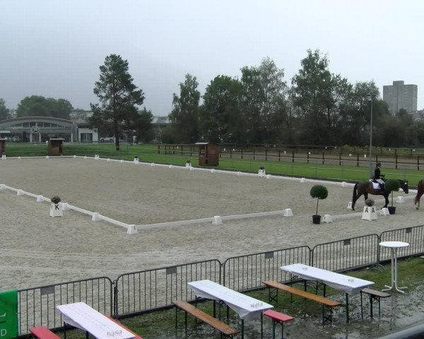Reitturnier Werdenberg 2023