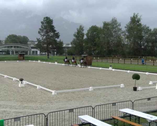 Reitturnier Werdenberg 2023